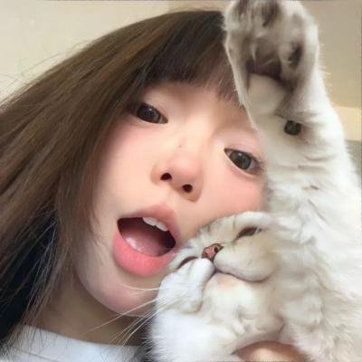 秘密同盟